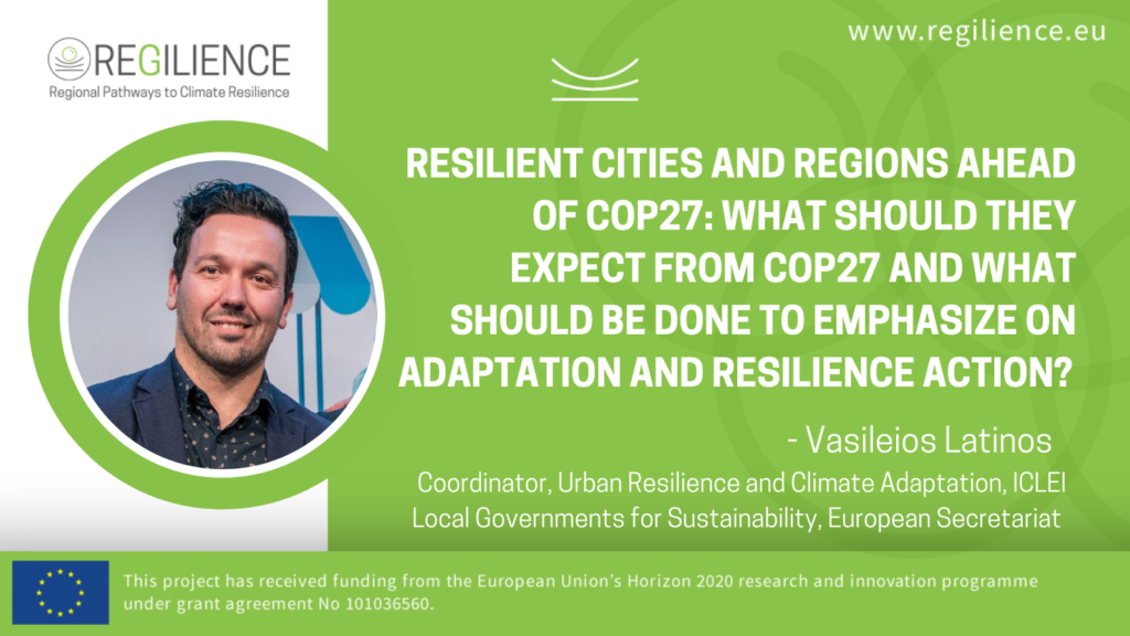Resilient Cities and Regions ahead of COP27; what should they expect from COP27 and what should be done to emphasize on adaptation and resilience action?  - Opinion article