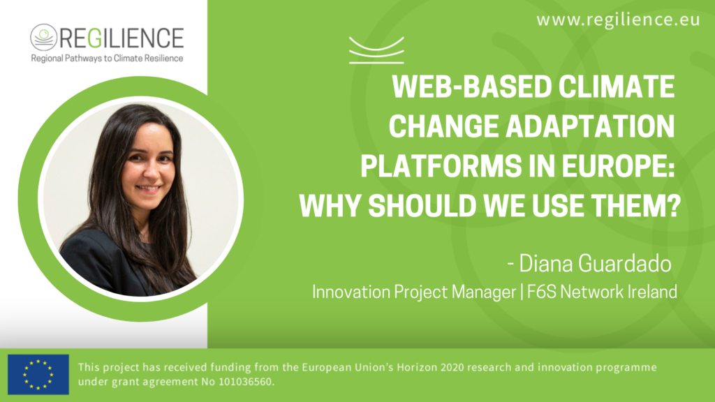 Web-based climate change adaptation platforms in Europe: why should we use them?- Opinion article