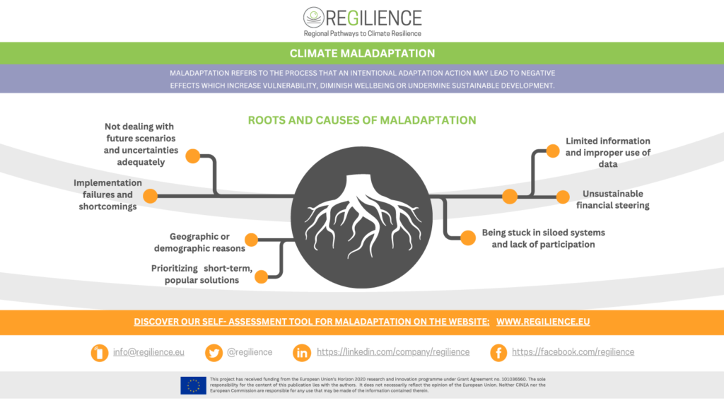 Self-assessing your adaptation project: How to avoid maladaptation?