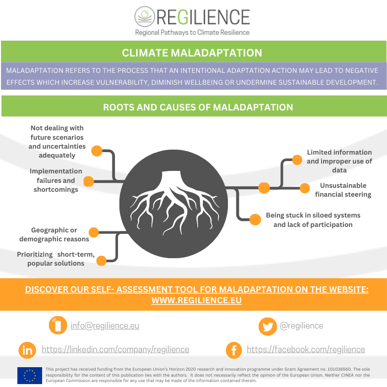 REGILIENCE D3.4 infographic part 1